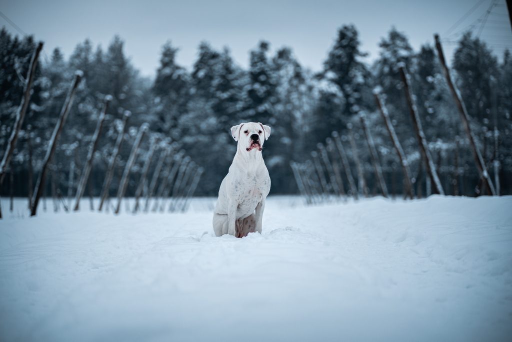 Fotografiranje
